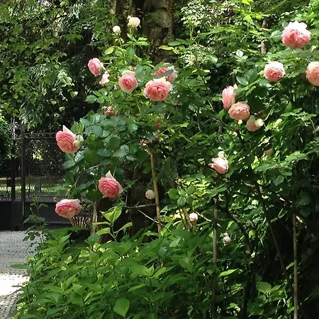 Casa Cuniolo Bed & Breakfast Tortona